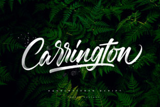 Carrington: The Brush Script Font That Brings Energy and Authenticity to Your Designs