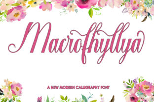 Macrofhyllya Script